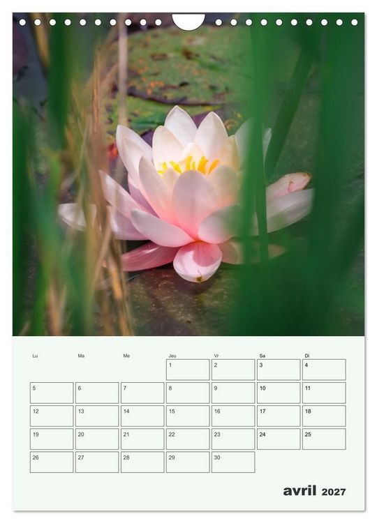 Produktbild: Les fleurs, &eacute;ternelles &eacute;phem&egrave;res (Calendrier mural 2027 DIN A4 horizontal), CALVENDO calendrier mensuel
