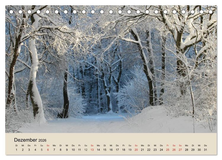 Produktbild: Der Wald. Durch zauberhafte Waldlandschaften (Tischkalender 2026 DIN A5 quer), CALVENDO Monatskalender