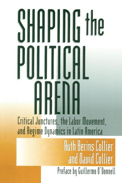 Produktbild: Shaping the Political Arena