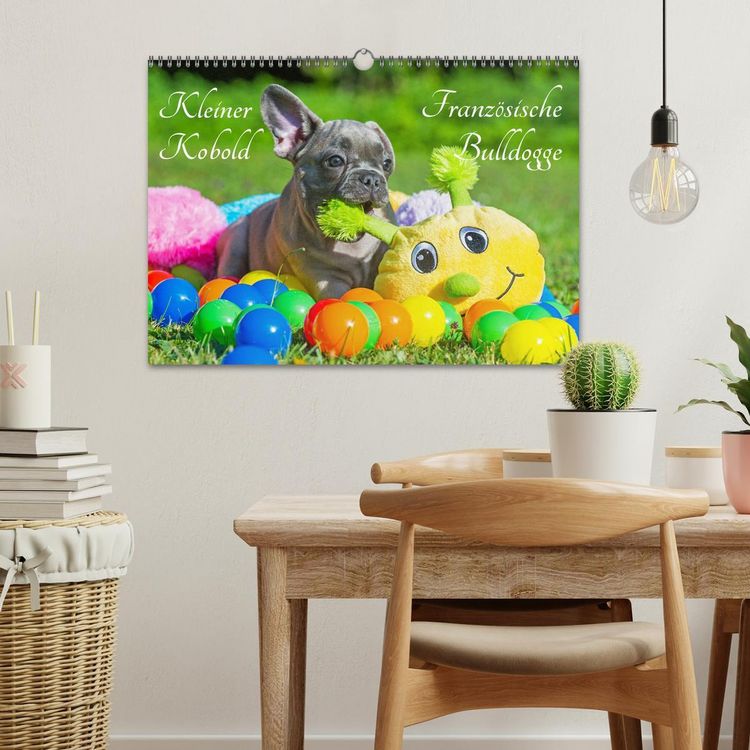 Produktbild: Kleiner Kobold Franz&ouml;sische Bulldogge (Wandkalender 2026 DIN A3 quer), CALVENDO Monatskalender