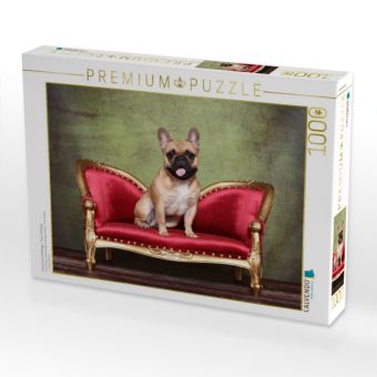Produktbild: CALVENDO Puzzle Franz&ouml;sische Bulldogge / French Bulldog | 1000 Teile Lege-Gr&ouml;&szlig;e 64x48cm Foto-Puzzle f&uuml;r gl&uuml;ckliche Stunden