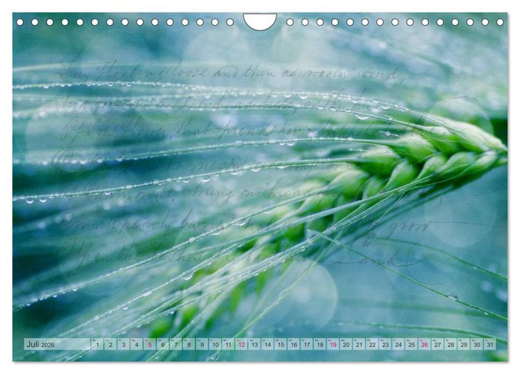 Produktbild: Vintage Nature - Romantische Naturaufnahmen (Wandkalender 2026 DIN A4 quer), CALVENDO Monatskalender