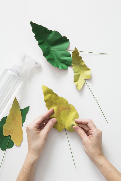 Produktbild: Zimmerpflanzen aus der Papierwerkstatt
