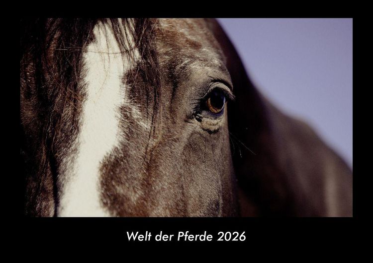 Produktbild: Welt der Pferde 2026 Fotokalender DIN A3