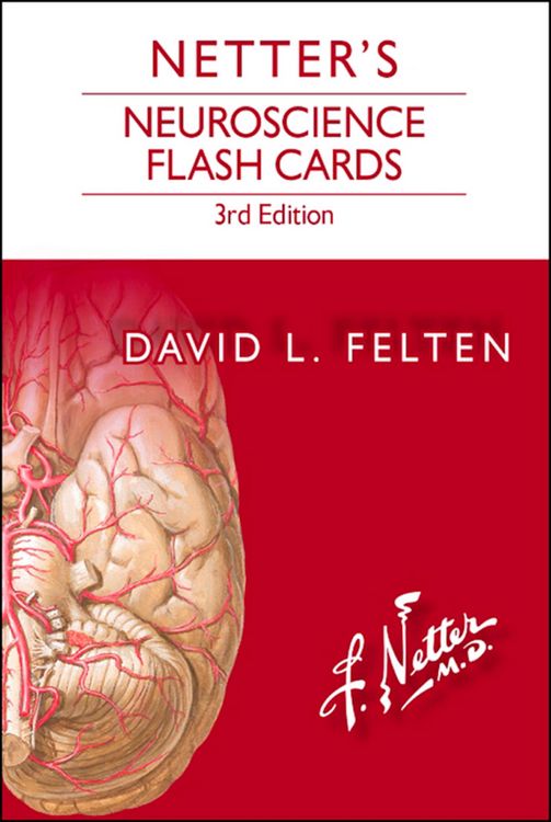 Produktbild: Netter's Neuroscience Flash Cards E-Book