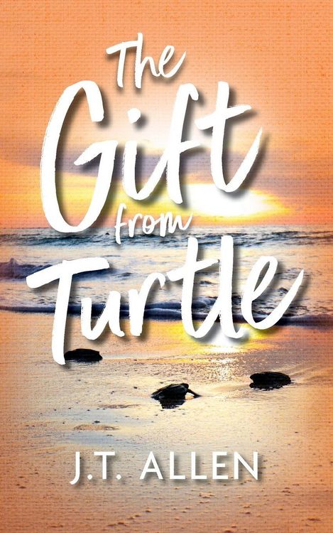 Produktbild: The Gift from Turtle
