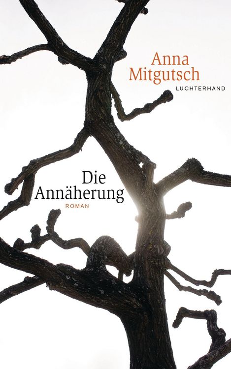 Produktbild: Die Ann&auml;herung