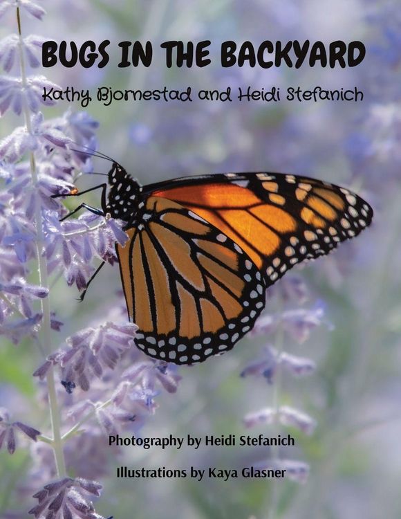 Produktbild: Bugs in the Backyard