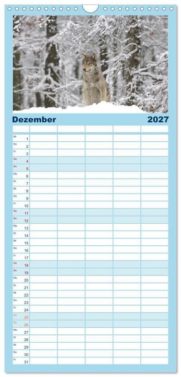 Produktbild: Familienplaner 2027 - Kanadische W&ouml;lfe im Winter mit 5 Spalten (Wandkalender, 21 x 45 cm) CALVENDO