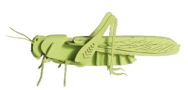 Produktbild: 3D Papiermodell. Heuschrecke