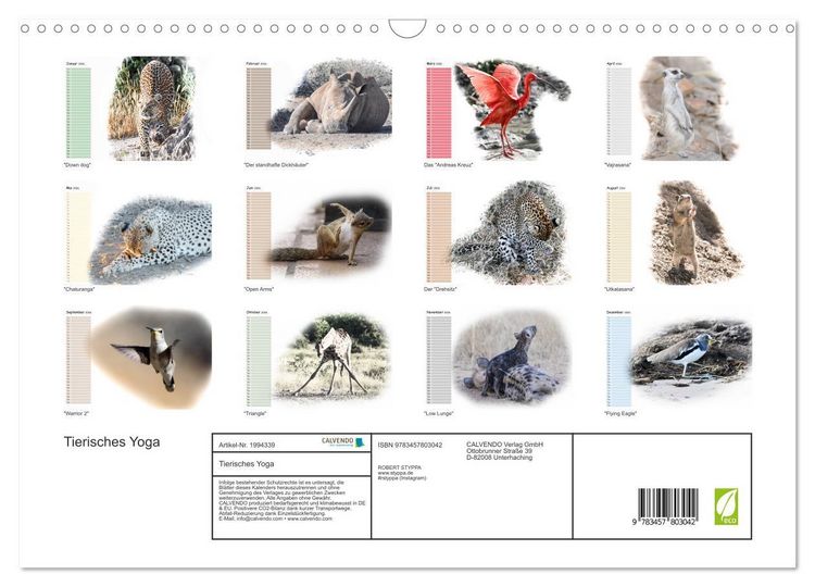 Produktbild: Tierisches Yoga (Wandkalender 2026 DIN A3 quer), CALVENDO Monatskalender