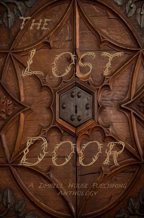 Produktbild: The Lost Door