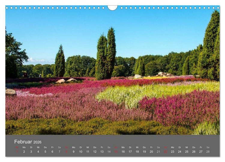 Produktbild: Moor- und Heidelandschaften Niedersachsen (Wandkalender 2026 DIN A3 quer), CALVENDO Monatskalender
