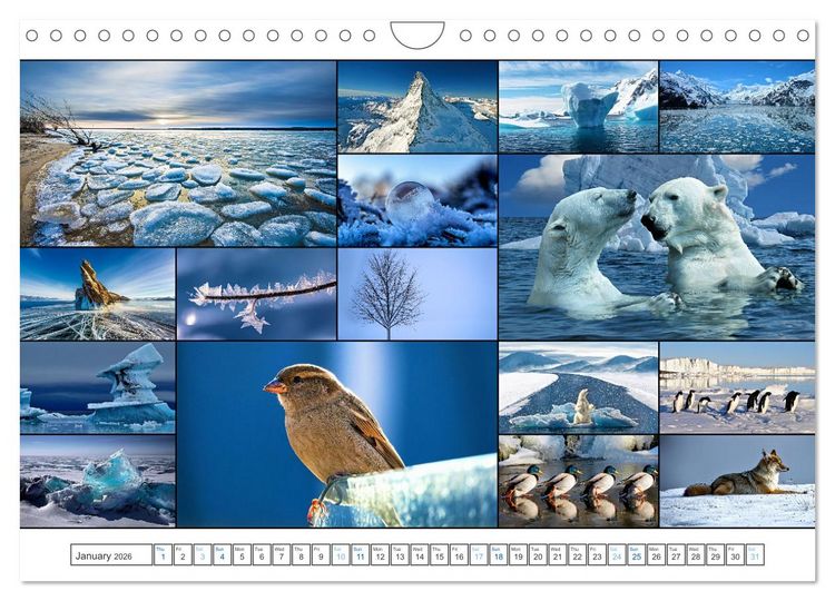 Produktbild: Colour Symphonies of the Earth (Wall Calendar 2026 DIN A4 landscape), CALVENDO 12 Month Wall Calendar