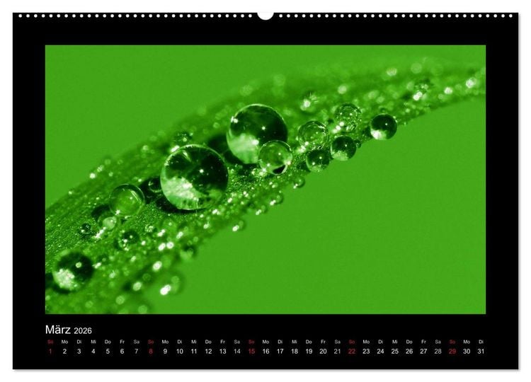 Produktbild: Meine kleine gr&uuml;ne Wassertropfen Welt (Wandkalender 2026 DIN A2 quer), CALVENDO Monatskalender
