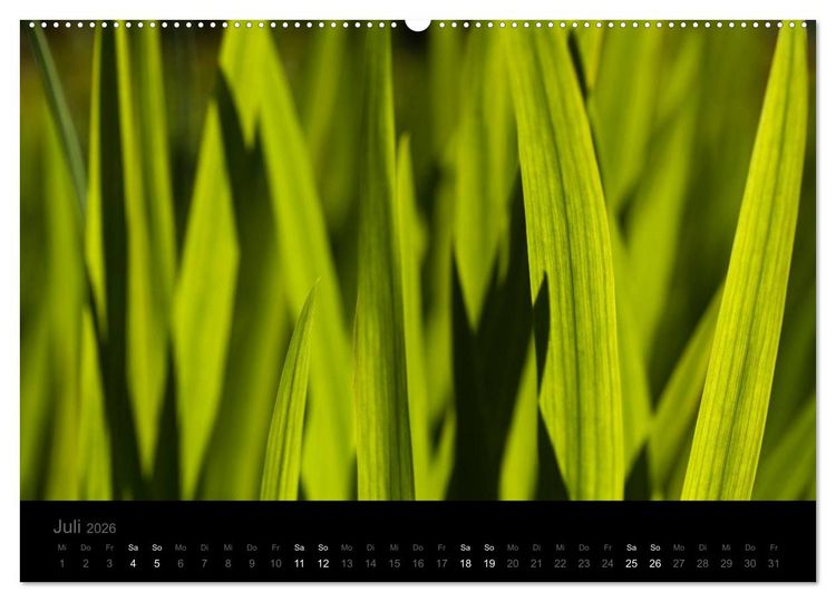 Produktbild: Natur im Detail (Wandkalender 2026 DIN A2 quer), CALVENDO Monatskalender