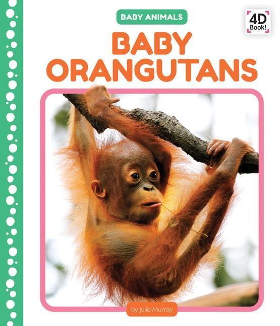 Produktbild: Baby Orangutans