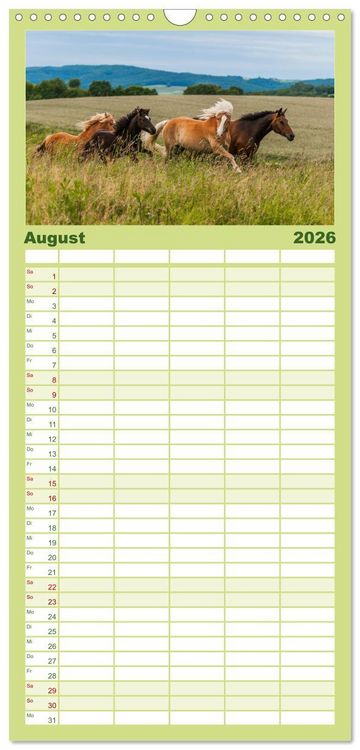 Produktbild: Familienplaner 2026 - Welt der Pferde mit 5 Spalten (Wandkalender, 21 x 45 cm) CALVENDO