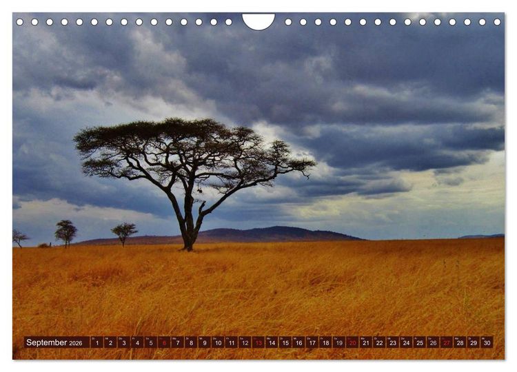 Produktbild: Afrika. Zauber des schwarzen Kontinents (Wandkalender 2026 DIN A4 quer), CALVENDO Monatskalender