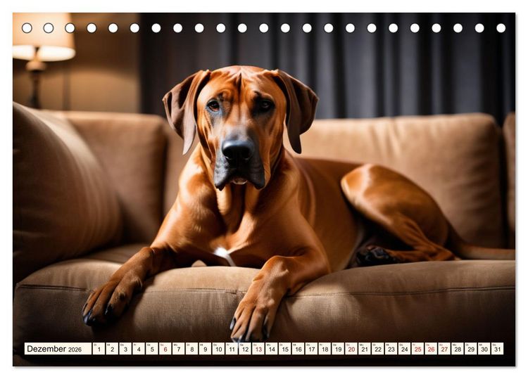 Produktbild: Rhodesian Ridgeback - Athlet mit R&uuml;ckenkamm (Tischkalender 2026 DIN A5 quer), CALVENDO Monatskalender