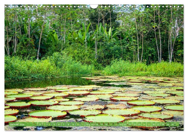 Produktbild: Der Amazonas: von den Anden zum Atlantik (Wandkalender 2026 DIN A3 quer), CALVENDO Monatskalender