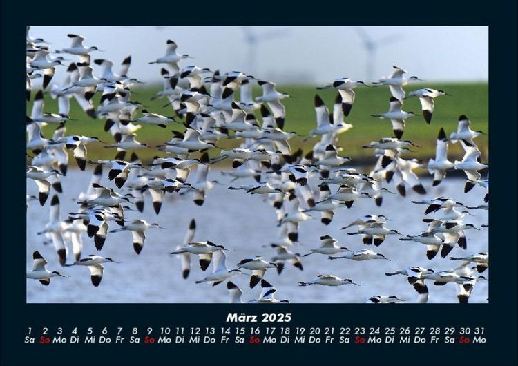 Produktbild: Die Seen der Erde 2025 Fotokalender DIN A4