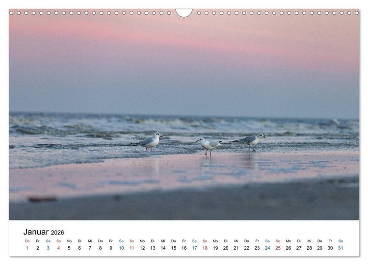 Produktbild: Lichtstimmungen in Sankt Peter-Ording (Wandkalender 2026 DIN A3 quer), CALVENDO Monatskalender
