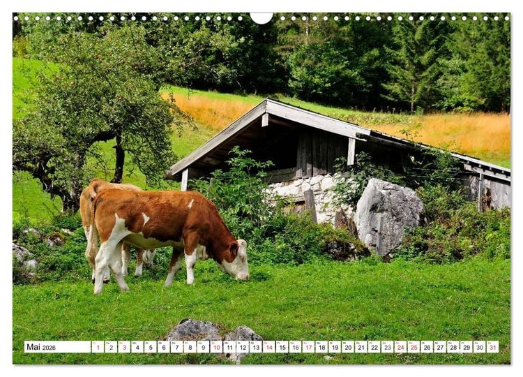 Produktbild: Mein Werdenfelser Land (Wandkalender 2026 DIN A3 quer), CALVENDO Monatskalender