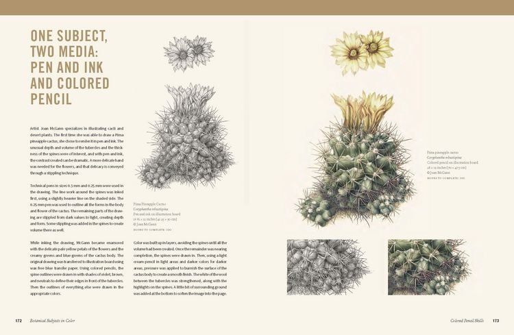 Produktbild: Botanical Art Techniques