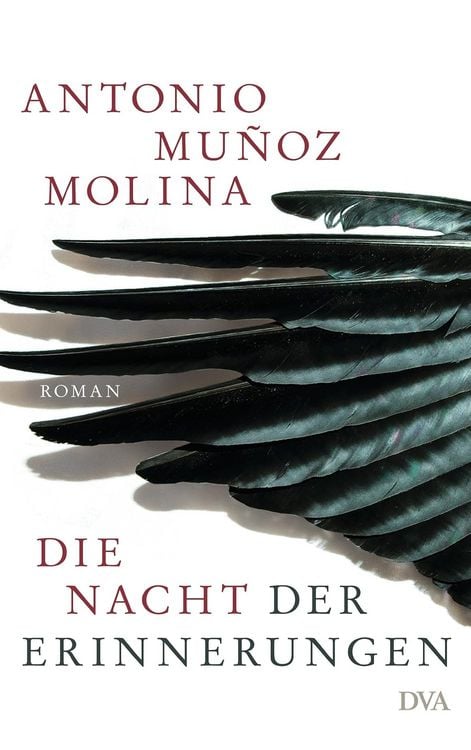 Produktbild: Mu&ntilde;oz Molina, A: Nacht der Erinnerungen