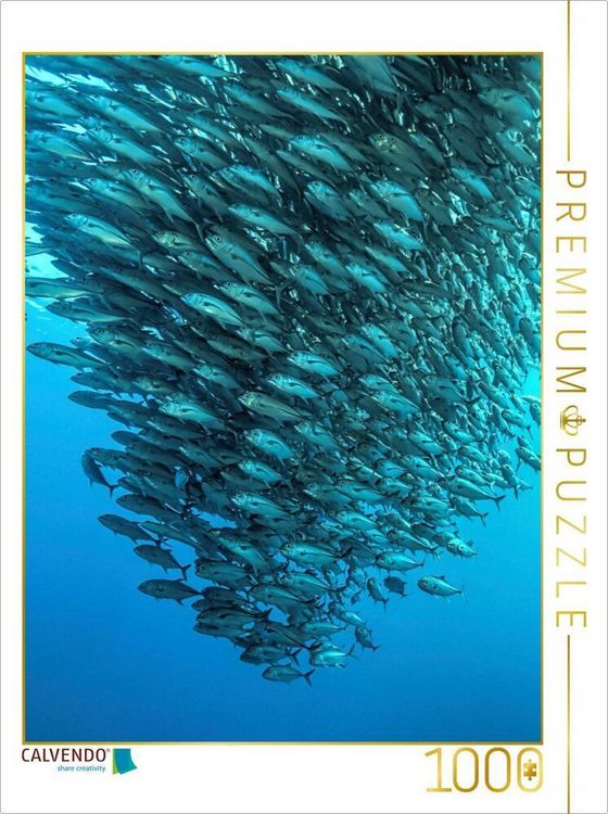Produktbild: CALVENDO Puzzle Makrelenschwarm - Balicasag Island (Philippinen) | 1000 Teile Lege-Gr&ouml;&szlig;e 64x48cm Foto-Puzzle f&uuml;r gl&uuml;ckliche Stunden