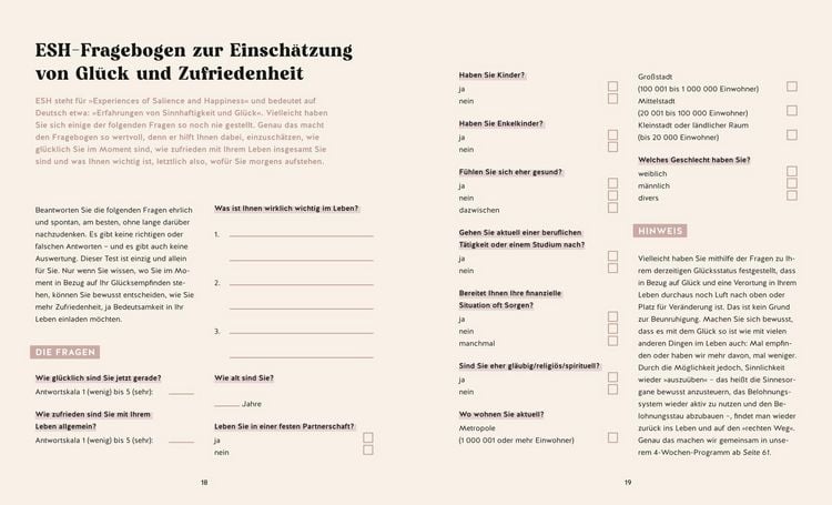 Produktbild: Wof&uuml;r stehen Sie morgens auf? Das Praxisbuch