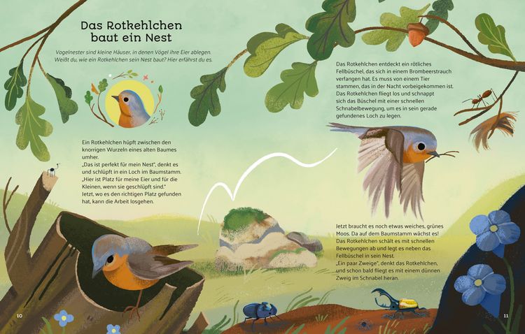 Produktbild: Kleine Geschichten aus der Natur