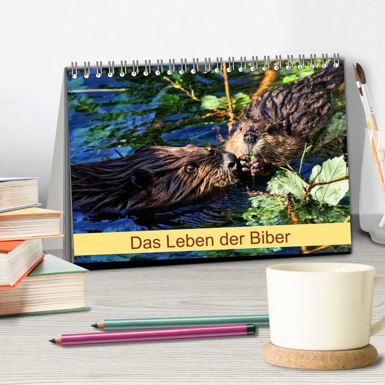 Produktbild: Das Leben der Biber (Tischkalender 2026 DIN A5 quer), CALVENDO Monatskalender