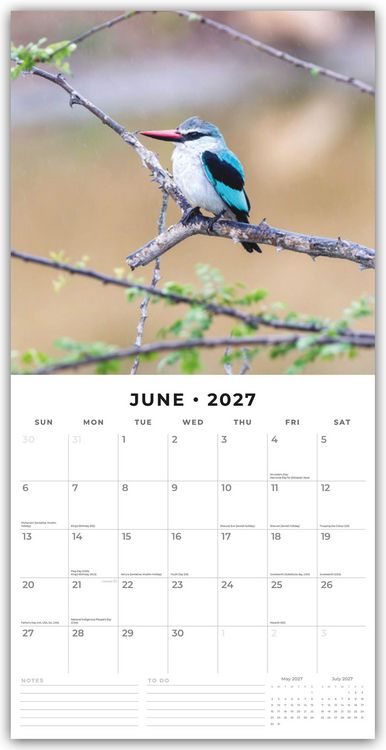Produktbild: Kingfishers &ndash; Eisv&ouml;gel 2027 &ndash; 16-Monatskalender
