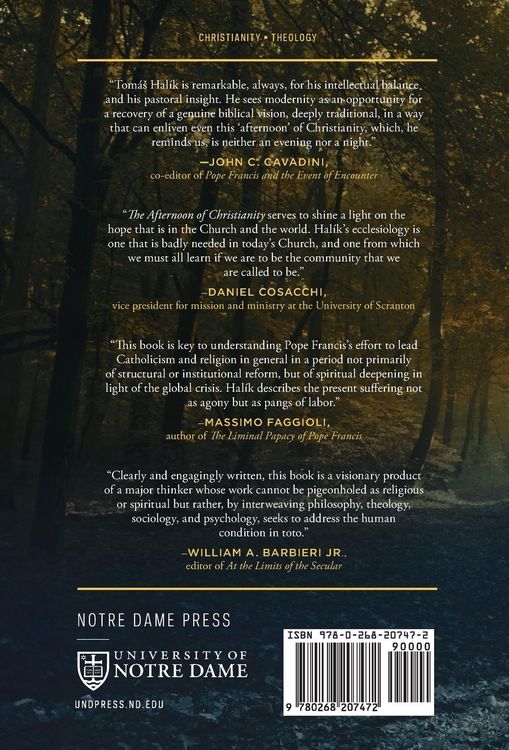 Produktbild: The Afternoon of Christianity