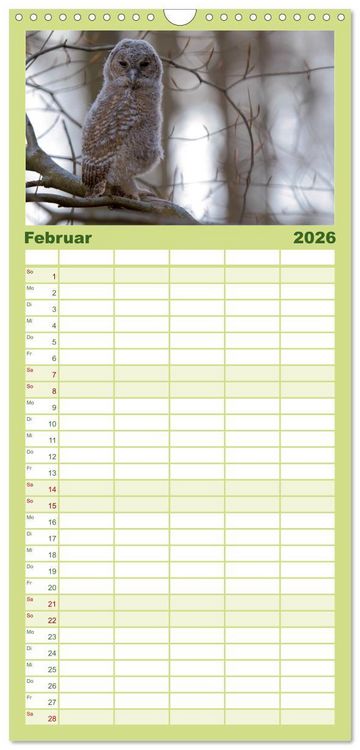 Produktbild: Familienplaner 2026 - geliebte Waldgeister mit 5 Spalten (Wandkalender, 21 x 45 cm) CALVENDO