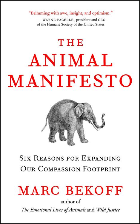 Produktbild: The Animal Manifesto