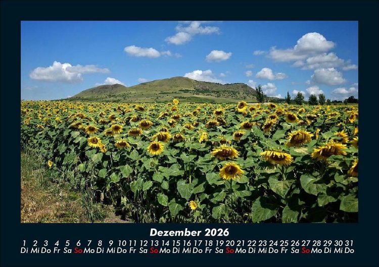 Produktbild: Blumenkalender 2026 Fotokalender DIN A5