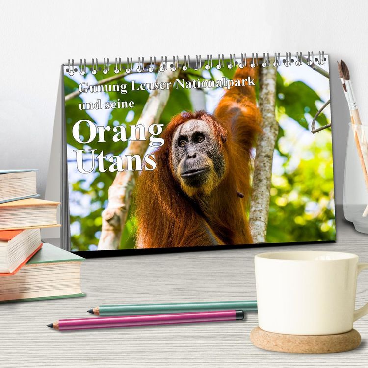 Produktbild: Gunung Leuser Nationalpark und seine Orang Utans (Tischkalender 2026 DIN A5 quer), CALVENDO Monatskalender