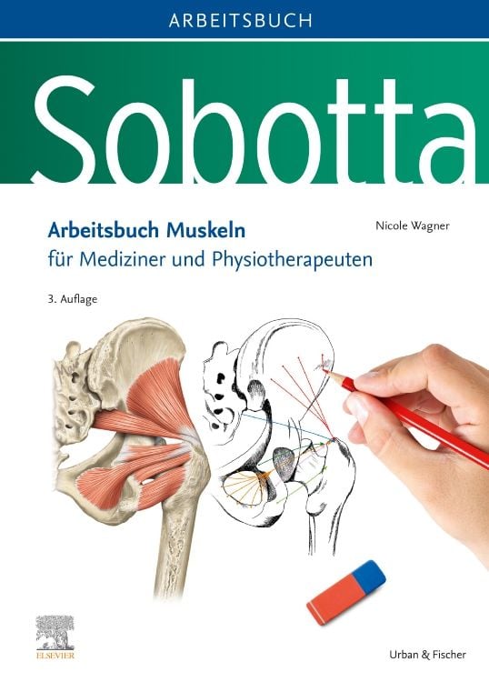Produktbild: Sobotta Arbeitsbuch Muskeln