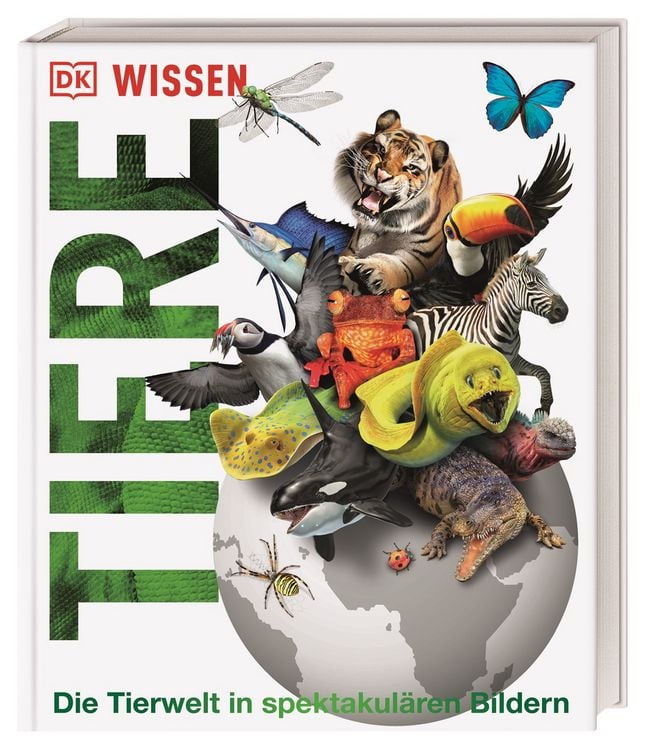 Produktbild: DK Wissen. Tiere