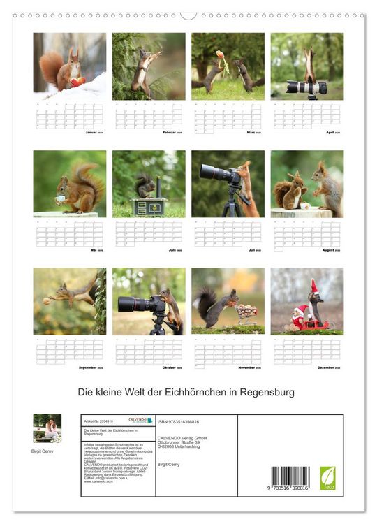 Produktbild: Die kleine Welt der Eichh&ouml;rnchen in Regensburg (hochwertiger Premium Wandkalender 2026 DIN A2 hoch), Kunstdruck in Hochglanz