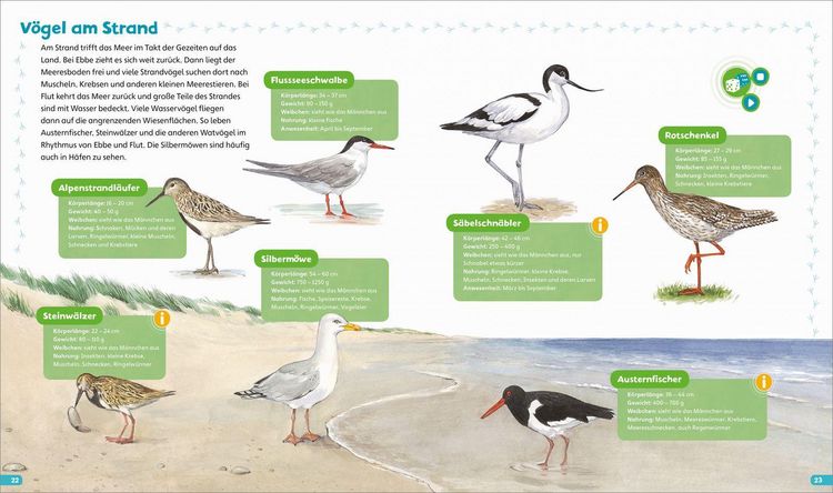 Produktbild: BOOKii&reg; H&ouml;ren und Staunen Heimische V&ouml;gel