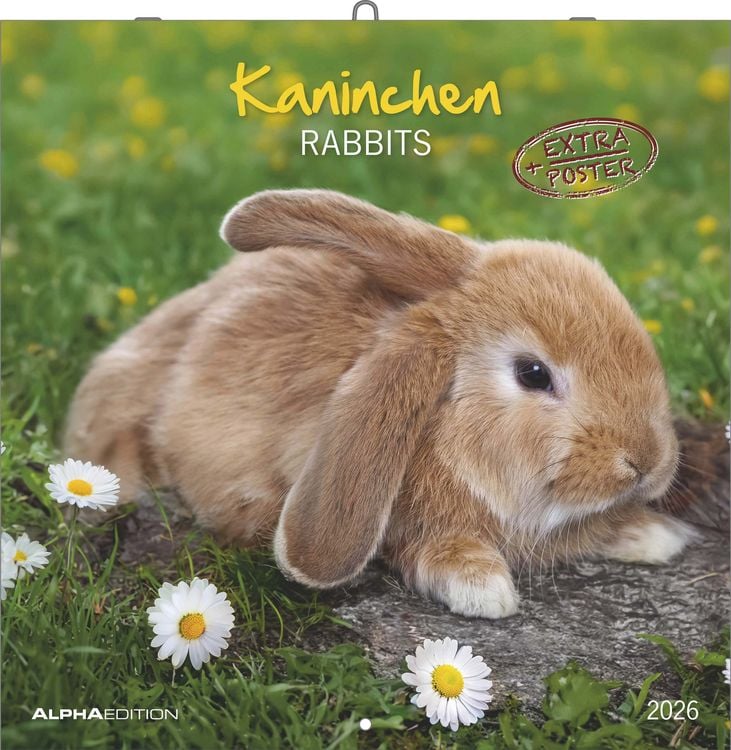 Bild vom Artikel Kaninchen 2026 - Broschürenkalender 30x30 cm (30x60 geöffnet) - Kalender mit Platz für Notizen - Rabbits - Bildkalender - Wandplaner - Wandkalender vom Autor Alpha Edition