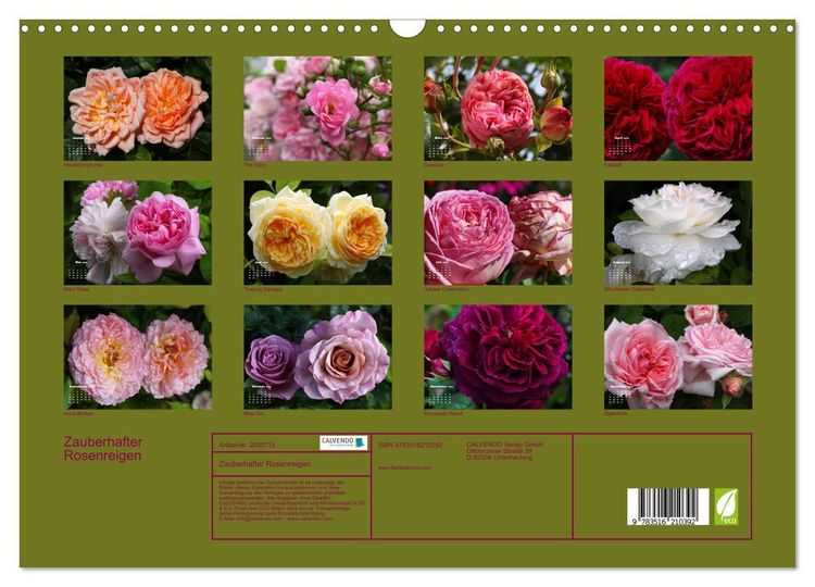 Produktbild: Zauberhafter Rosenreigen (Wandkalender 2026 DIN A3 quer), CALVENDO Monatskalender