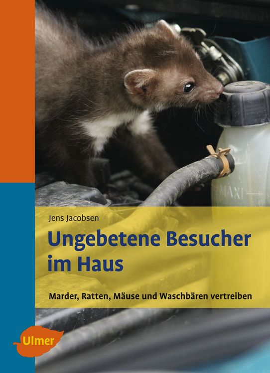 Produktbild: Ungebetene Besucher im Haus