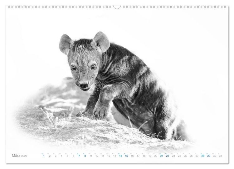 Produktbild: AFRIKA - Schwarz-weiss Fotografien im modernen "High Key" Look (Wandkalender 2026 DIN A2 quer), CALVENDO Monatskalender