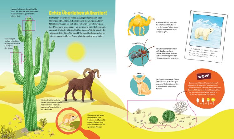Produktbild: WAS IST WAS Kids Unsere Erde. Ein Planet voller Leben &ndash; und du bist mittendrin!