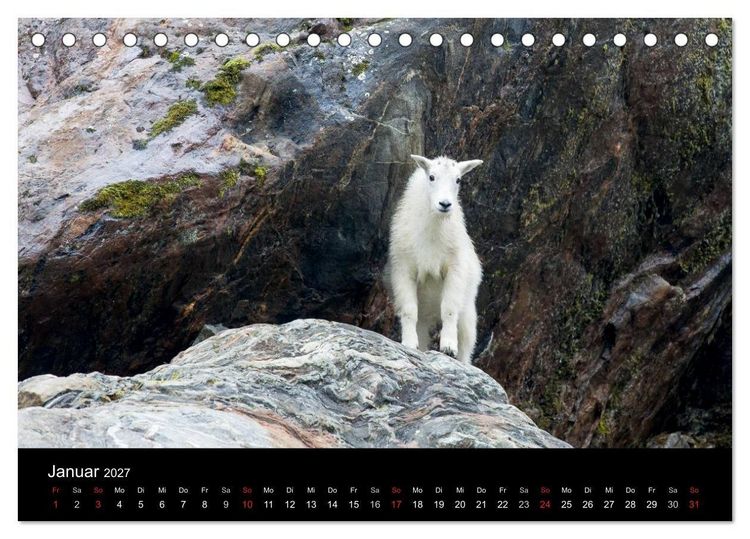 Produktbild: FASZINATION ALASKA Expedition durch die Inside Passage (Tischkalender 2027 DIN A5 quer), CALVENDO Monatskalender